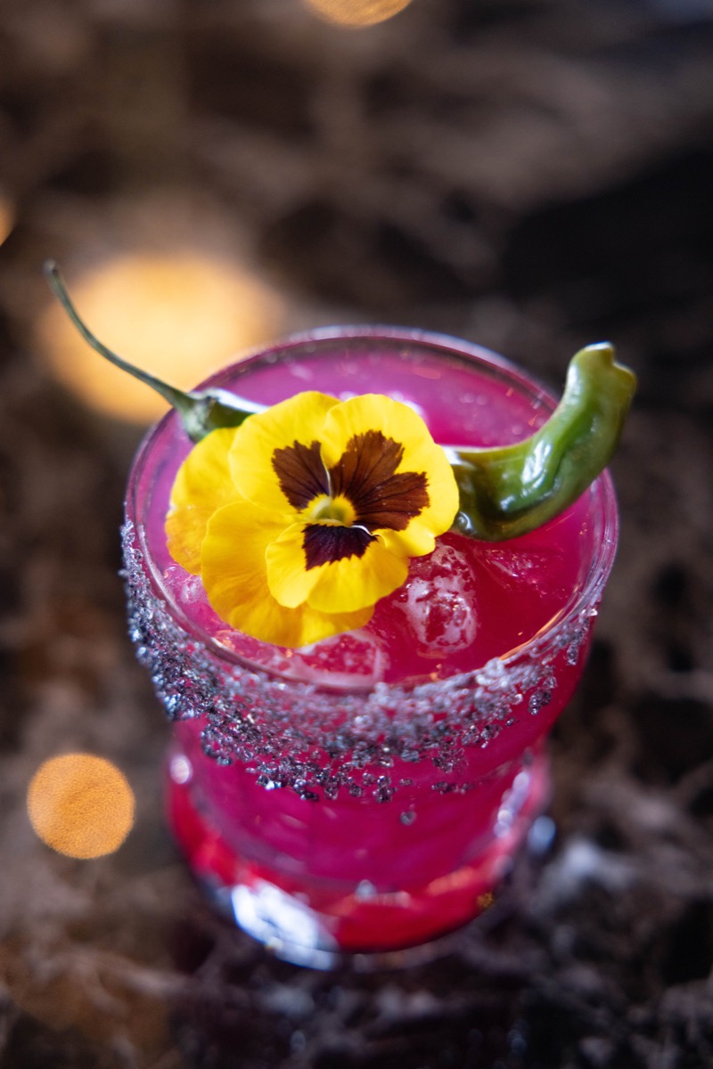 Wolf by Vanderpump